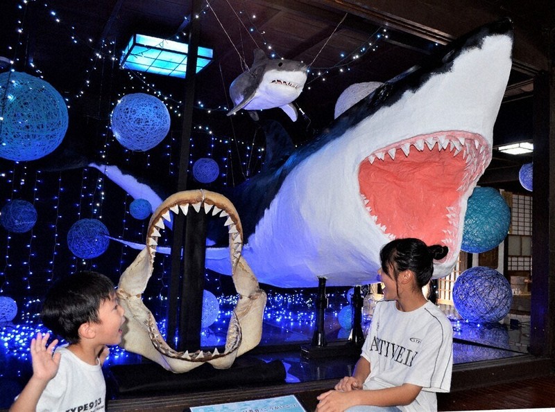 まるで映画の「ジョーズ」 サメの迫力アップ 光ふるさと郷土館 顎の骨