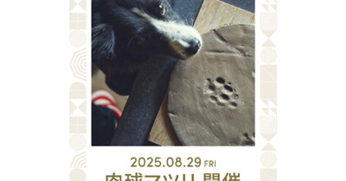 【中古】 いっしょにおでかけ！東北ワンちゃんと泊まれる宿/メイツユニバーサルコンテンツ/イデア・ビレッジ 中古】 いっしょにおでかけ！東北ワンちゃんと泊まれる宿/メイツ