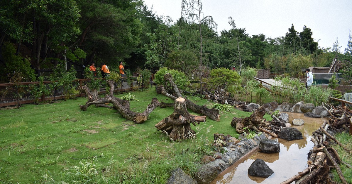 Easy Japanese news in translation: New beaver exhibit opens at zoo in Tochigi Prefecture
