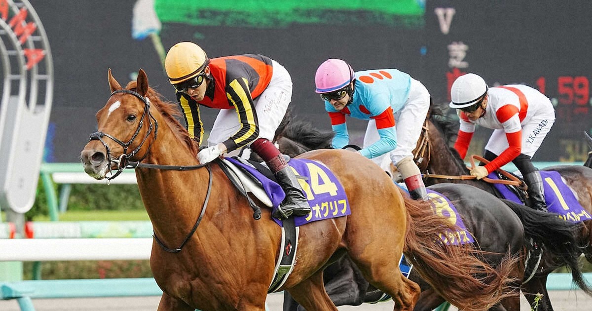 ジオグリフ　皐月賞記念ブルゾン Amazon.co.jp: 競馬 ブルゾン ジャンパー ジオグリフ 皐月賞勝利
