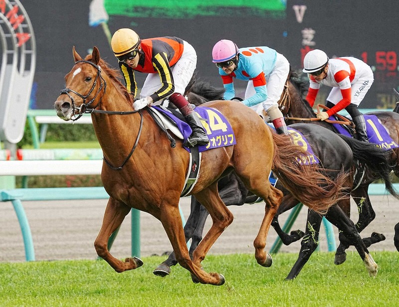 ジオグリフ　皐月賞記念ブルゾン 皐月賞馬ジオグリフ引退 優駿スタリオンステーションで種牡馬