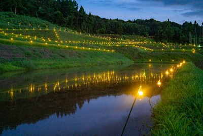 ライトアップされた「泉の棚田」＝新潟県上越市牧区で2025年8月16日、五十嵐敏彦さん撮影