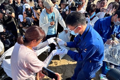 6回目の潜水調査で見つかった人骨のようなものを、山口県警宇部署員に手渡す「長生炭鉱の水非常を歴史に刻む会」の井上洋子共同代表（手前左）＝山口県宇部市の床波海岸で2025年8月25日午後3時33分、小澤優奈撮影