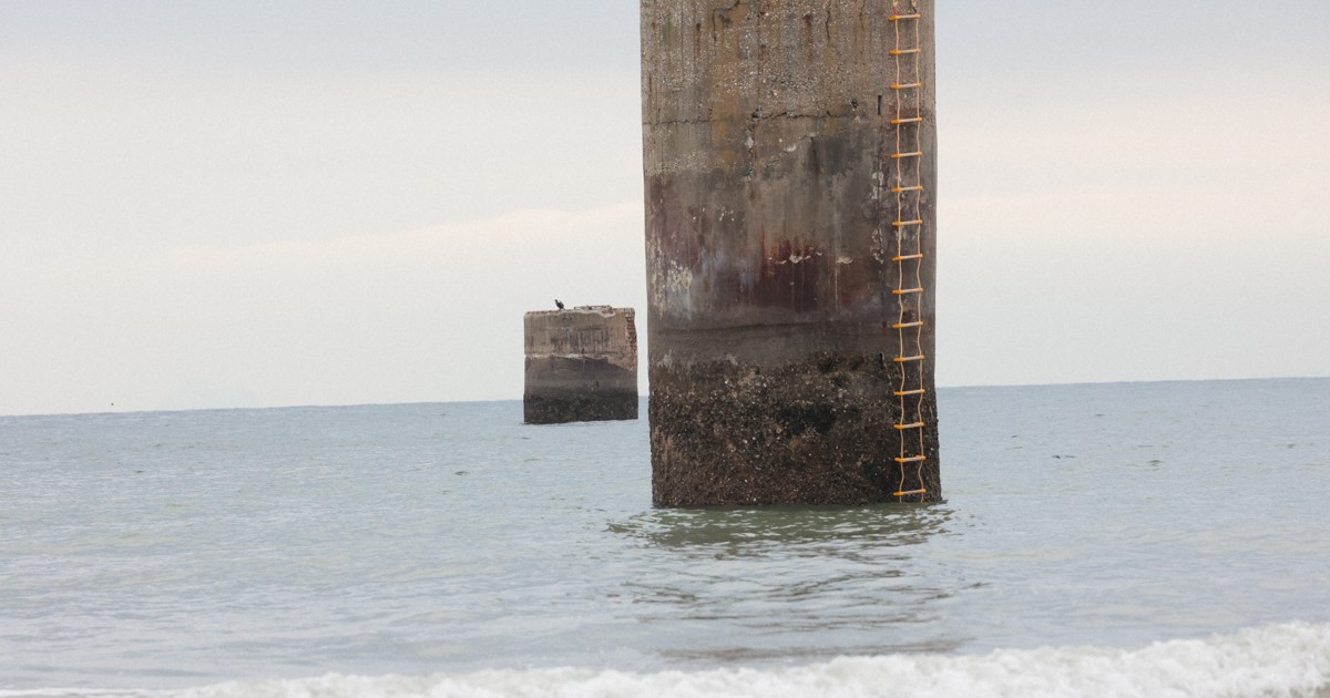 官尊民卑」は東京大空襲でも… 長生炭鉱で市民団体が示した意義 | 毎日新聞