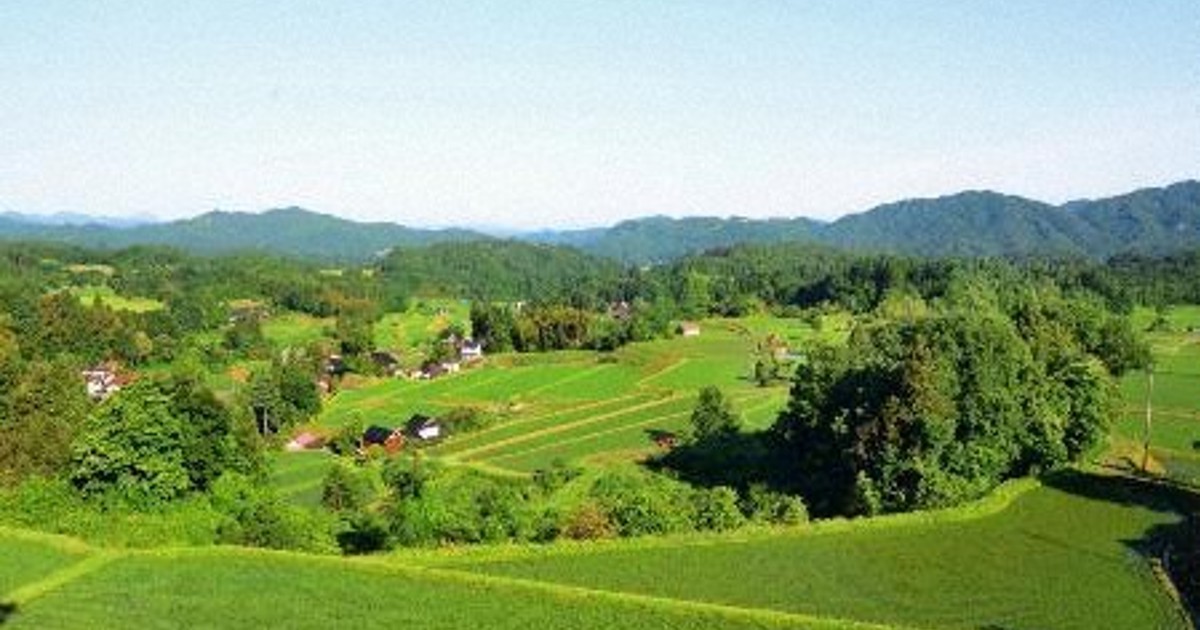 世界農業遺産に2地域を認定 島根・再生棚田と和歌山・ミカン栽培