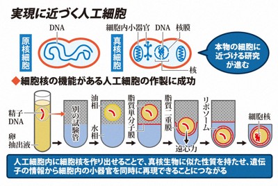 実現に近づく人工細胞