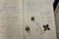 朝鮮人強制労働と向き合う 僧侶、半世紀の活動を本に 北海道 | 毎日新聞