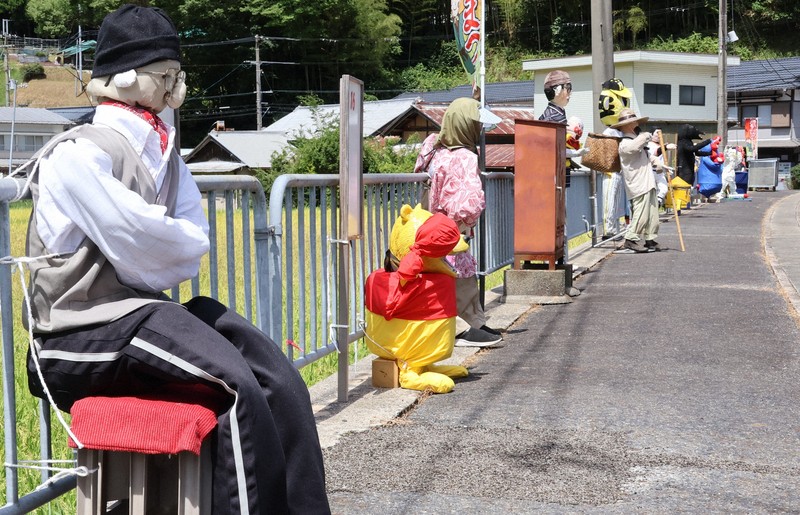 ヒカゲノカズラ　　まつり様 第33回熊野古道 清姫まつり - 中辺路町観光協会（Nakahechi Tourism