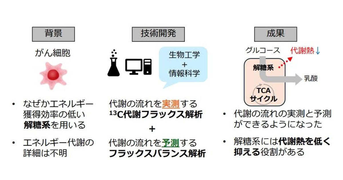新生理科学大系 22 エネルギー代謝・体温調節 新生理科学大系 22 エネルギー代謝・体温調節 - mail.emails