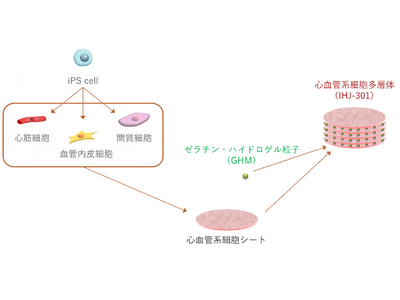 医療用ゲルの最新技術と開発 新材料・新素材シリーズ 51rwZHW0uxL._SL500_.jpg