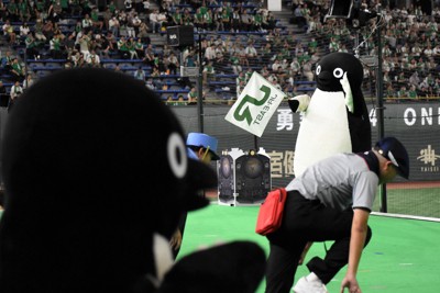 JR東日本のスタンドに2羽登場したペンギン。1羽が踊っている際、もう1羽は客席で見守っていた＝東京都文京区の東京ドームで2025年9月3日午前11時44分、田中綾乃撮影