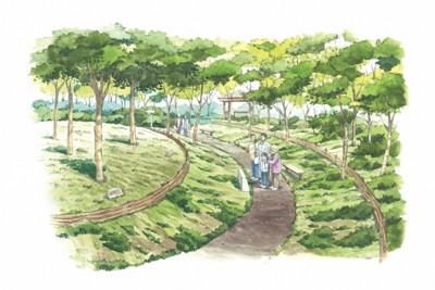 神戸市が計画している樹林葬墓地のイメージ。個々に墓標は置かず、自然林の土に返ることをコンセプトに掲げている＝神戸市提供