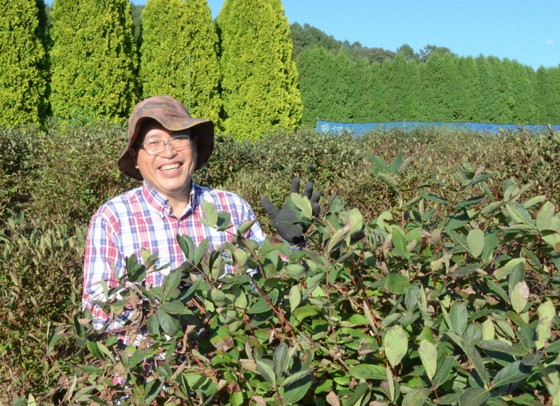 幻の果実」で復興を 胆振東部地震7年、震度7の厚真町で農家奮闘 | 毎日新聞