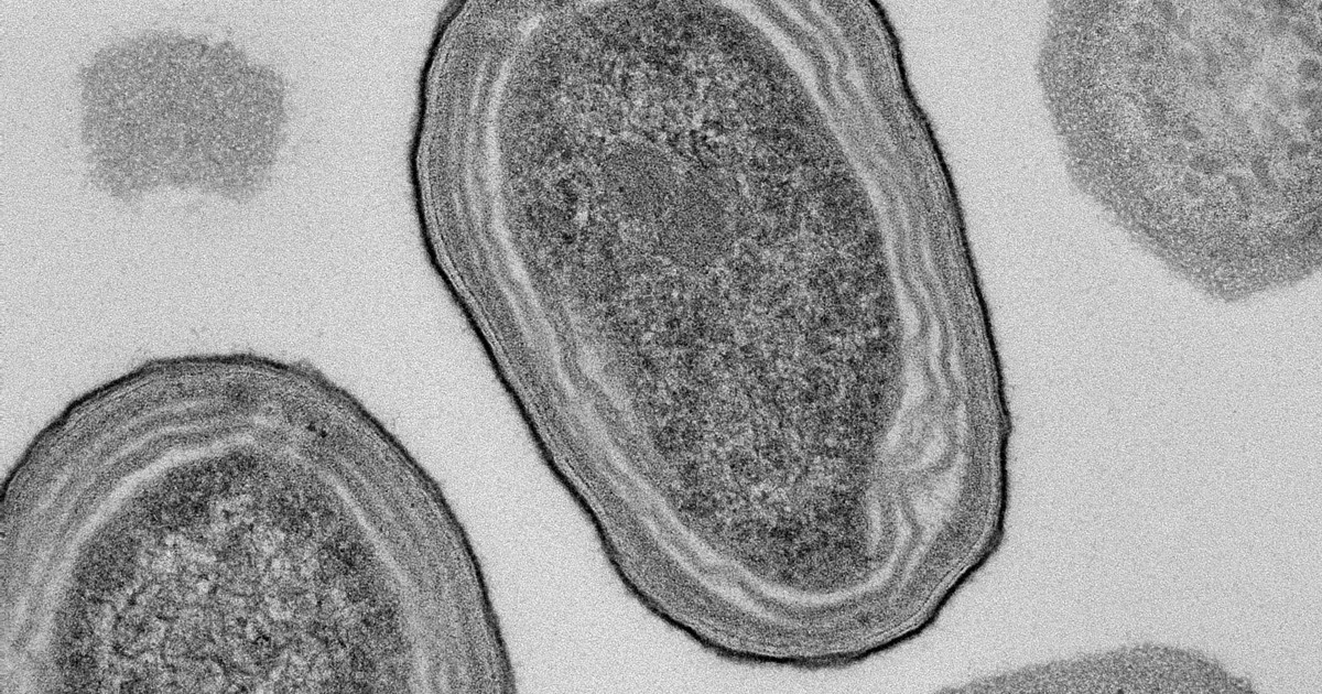 ＜1分で解説＞酸素を生み出すプランクトンの危機と地球温暖化