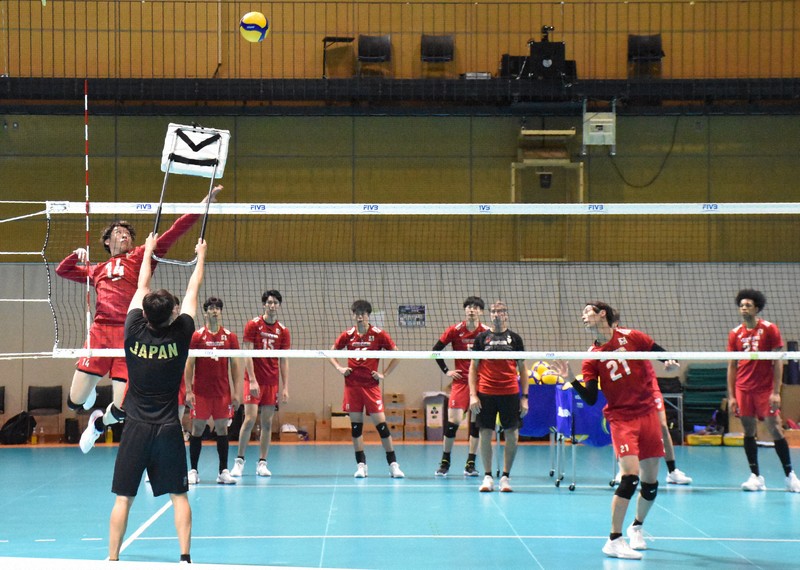 コーチが断言「日本はポーランドに追いつける」 バレー世界選手権