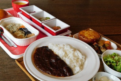 ダイニングポート御料鶴で人気が高い「JAL特製オリジナルビーフカレー」（手前）と「機内食ランチ」（奥）＝千葉県成田市で2025年8月7日、合田月美撮影