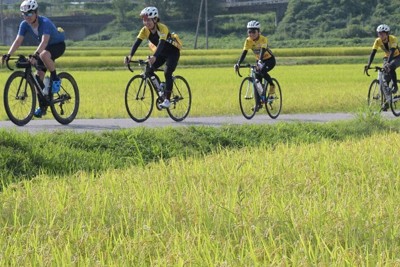収穫間近の田園地帯を軽快に走る＝新潟県十日町市内で2025年8月31日、板鼻幸雄撮影