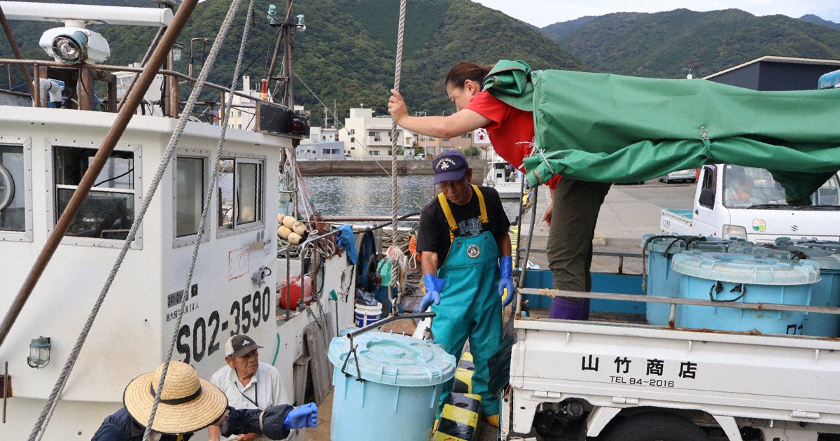 静岡・駿河湾で深海魚漁が解禁 漁獲量は「ここ数年で一番悪い」 | 毎日新聞