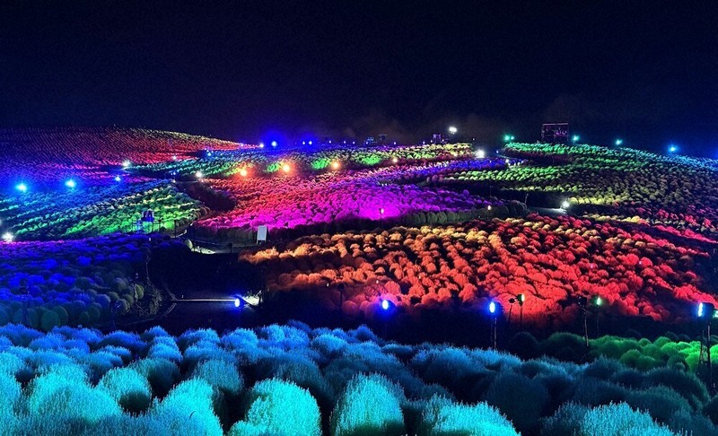 MAN WITH A MISSION 国営ひたち海浜公園　コキア コキア ライトアップ ひたち海浜公園 MAN WITH A MISSION - YouTube