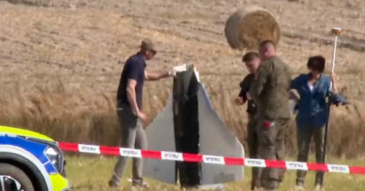 材料は合板や発泡スチロール　格安無人機で領空侵犯したロシアの狙い