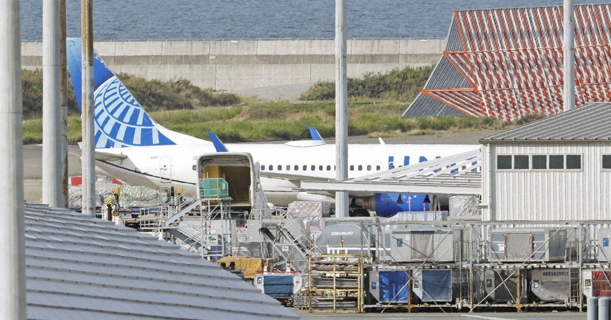 Kansai airport runways fully reopen after United plane's emergency landing