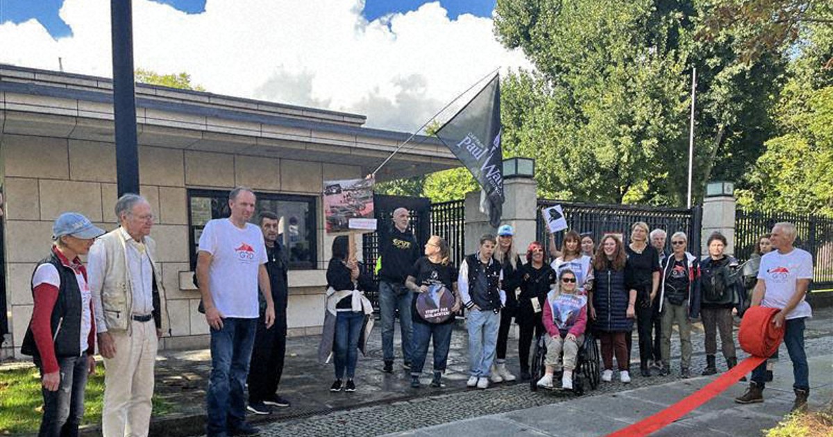 German animal protection group hands in petition to stop dolphin hunt