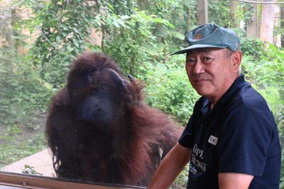 甲府市動物園為緩解工事噪音壓力，播放「嵐」的歌曲，並募集新吉祥物