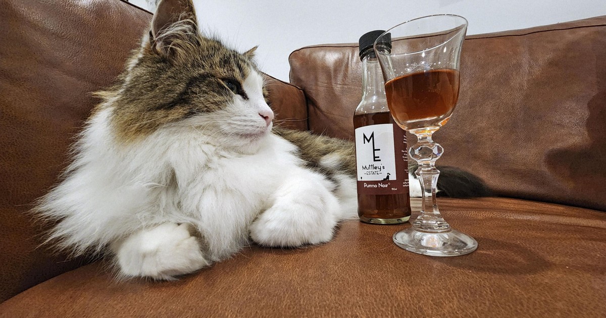 Pet-friendly wines for cats, dogs take off in New Zealand