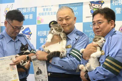 演員中西悠綺一日交通部長 呼籲「為守護摯愛生命」