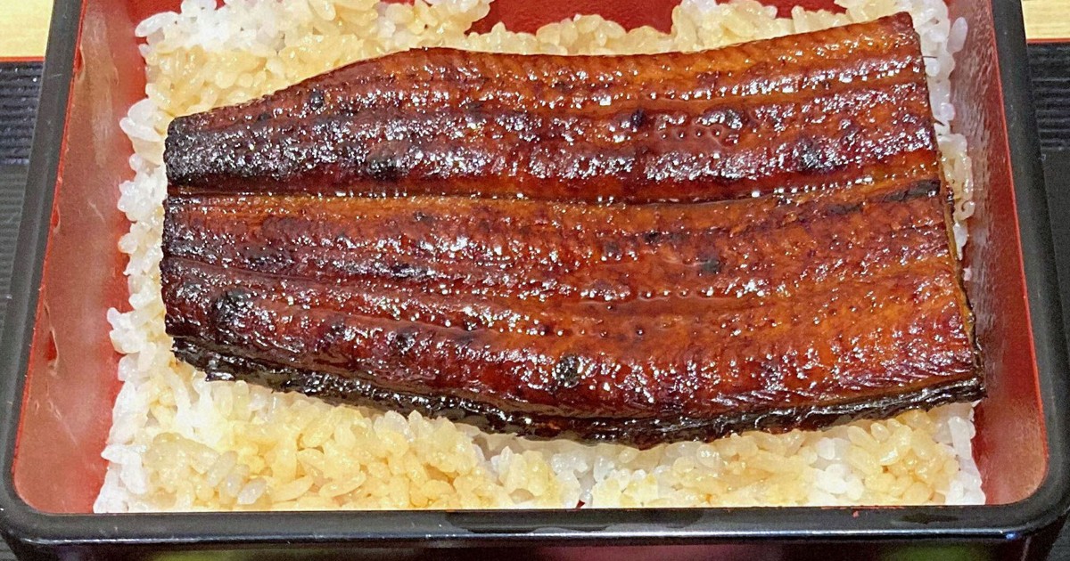 Study finds 99% of eel products worldwide come from endangered species