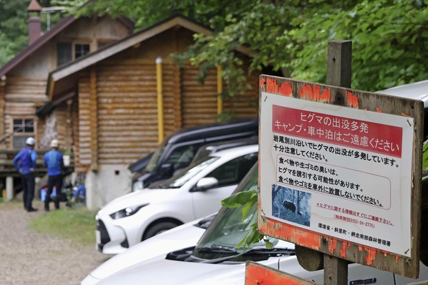 エコノミストリポート：増加するクマ被害 生息域の拡大に人慣れも進行