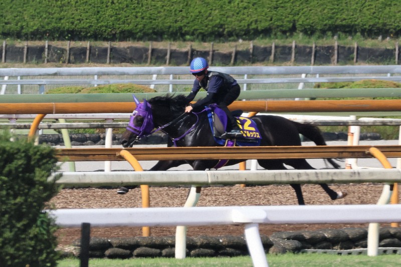 相棒は双眼鏡：群雄割拠のスプリンターズS 見えた「激走のサイン