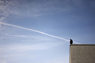 パスポート手数料　成人9000円、子供4500円程度に引き下げへ