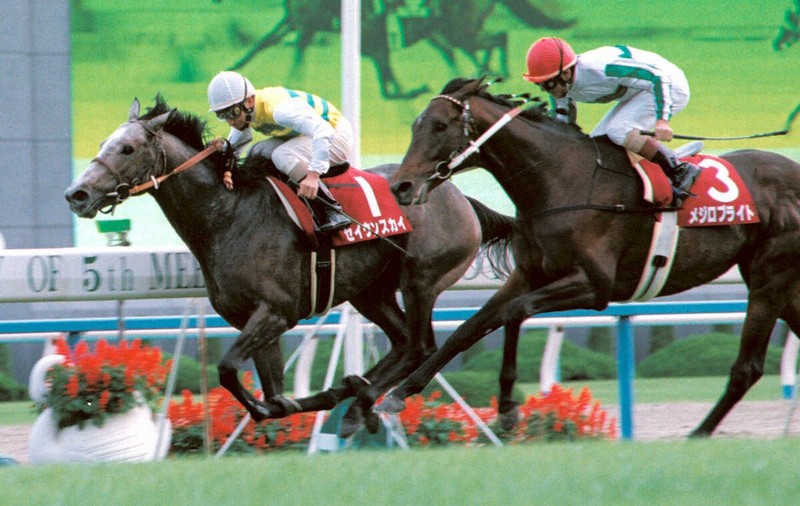 セイウンスカイ　馬券 ウマ娘セイウンスカイ