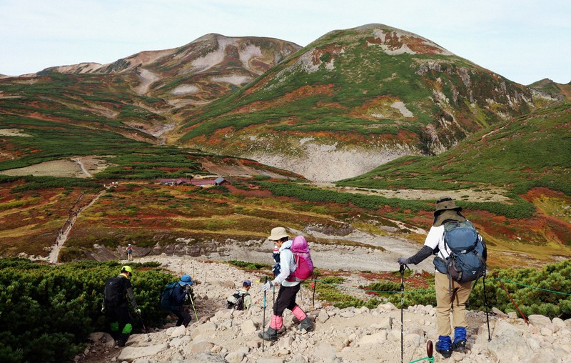 Beautiful Jungle：ヒグマにおびえながらの撮影 秋の黒岳山頂で
