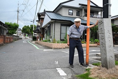 宛如畫作 大分中津歷史博物館 玻璃窗外石垣與松綠