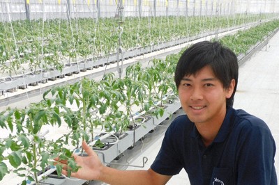 ハウス内で栽培中のトマトの木を手にする川村雄祐さん＝岐阜県関市で、安達一正撮影