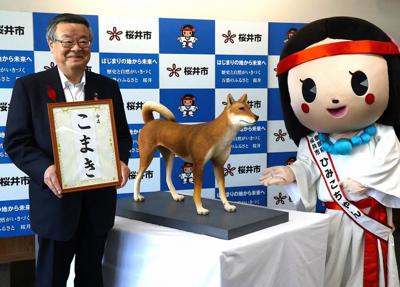 奈良・纒向遺跡の犬模型、愛称は「こまき」に 邪馬台国の有力候補地