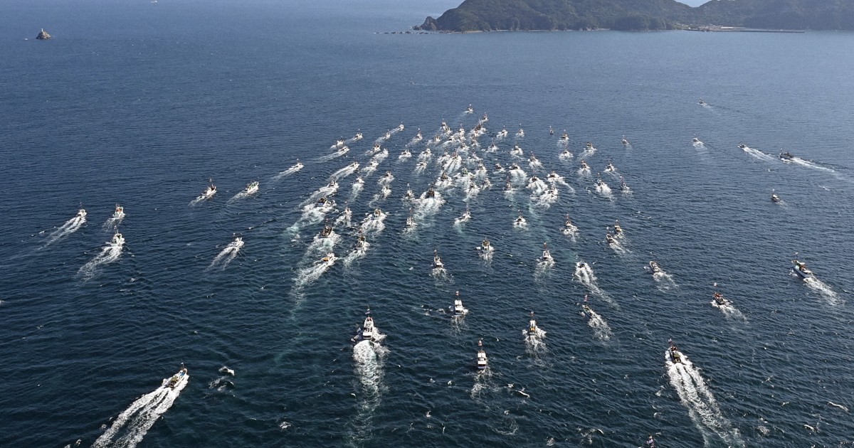 Easy Japanese news in translation: Goddesses cross sea at festival in Fukuoka Prefecture