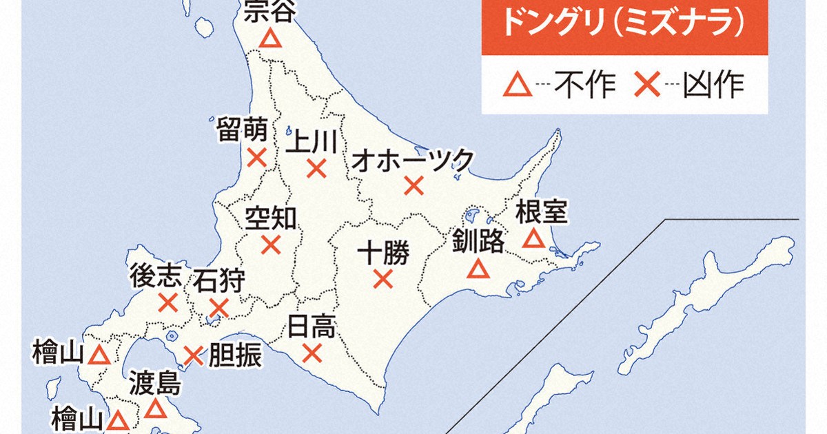 オサムシマップ 12-41不揃い 0c10.jpg?1