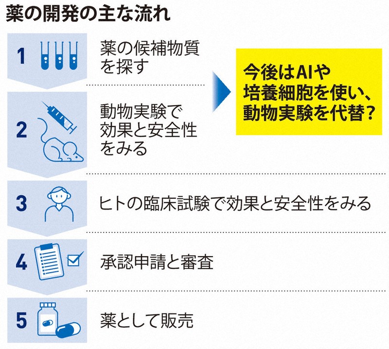 くらしナビ・医療：動物実験減らせるか／上 新薬開発に「生体模倣