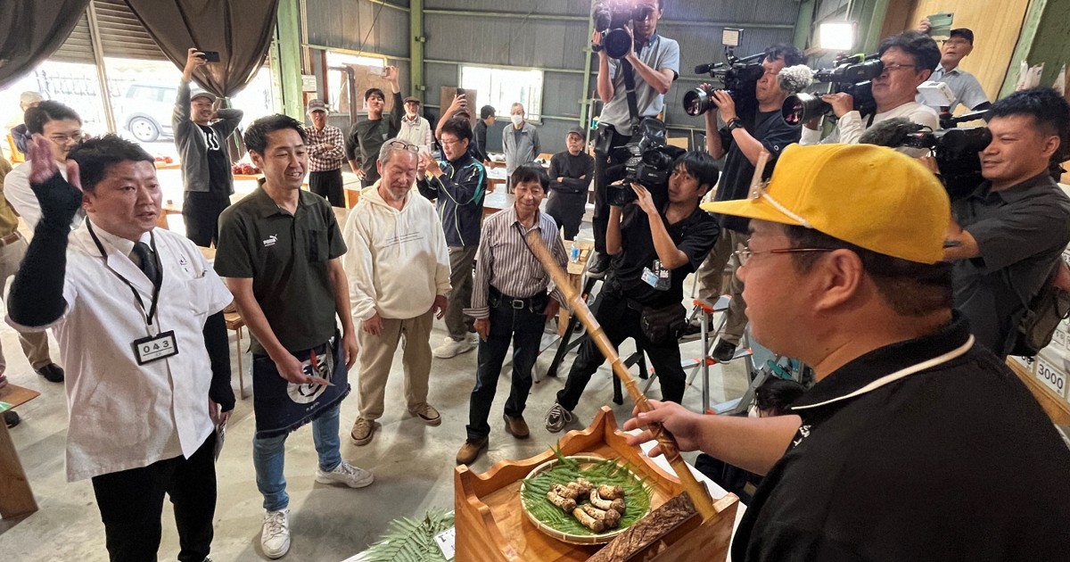 山採り 赤松 持込み古い 冬囲い前の特別価格 送料梱包代込 0c10.jpg?1