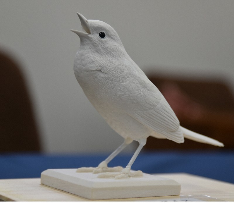 視覚障害者に鳥の姿や鳴き声を 鳥博がCF開始 千葉・我孫子 | 毎日新聞