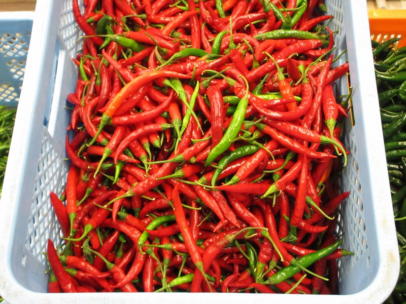 強い辛み、鋭い刺激が好評 佐賀の一味唐辛子が呼ぶ地域の好循環 | 毎日新聞