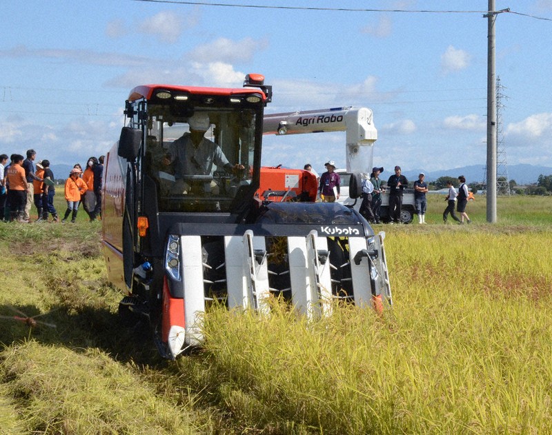 節水型乾田直播栽培」収穫公開 水張らず種まき効率化 作業量6割削減