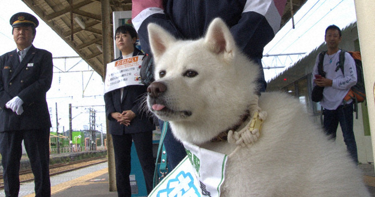 太陽と犬 0c10.jpg?1