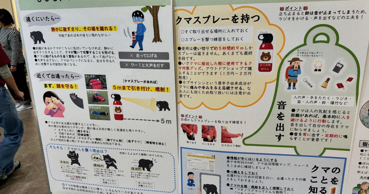 盛岡でクマの生態学ぶイベント　対策まとめたパネルや本物の毛皮展示