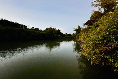 PFASが高濃度で検出されるため水道水用の取水を止めている比謝川＝沖縄県嘉手納町で2025年10月1日午後6時29分、比嘉洋撮影