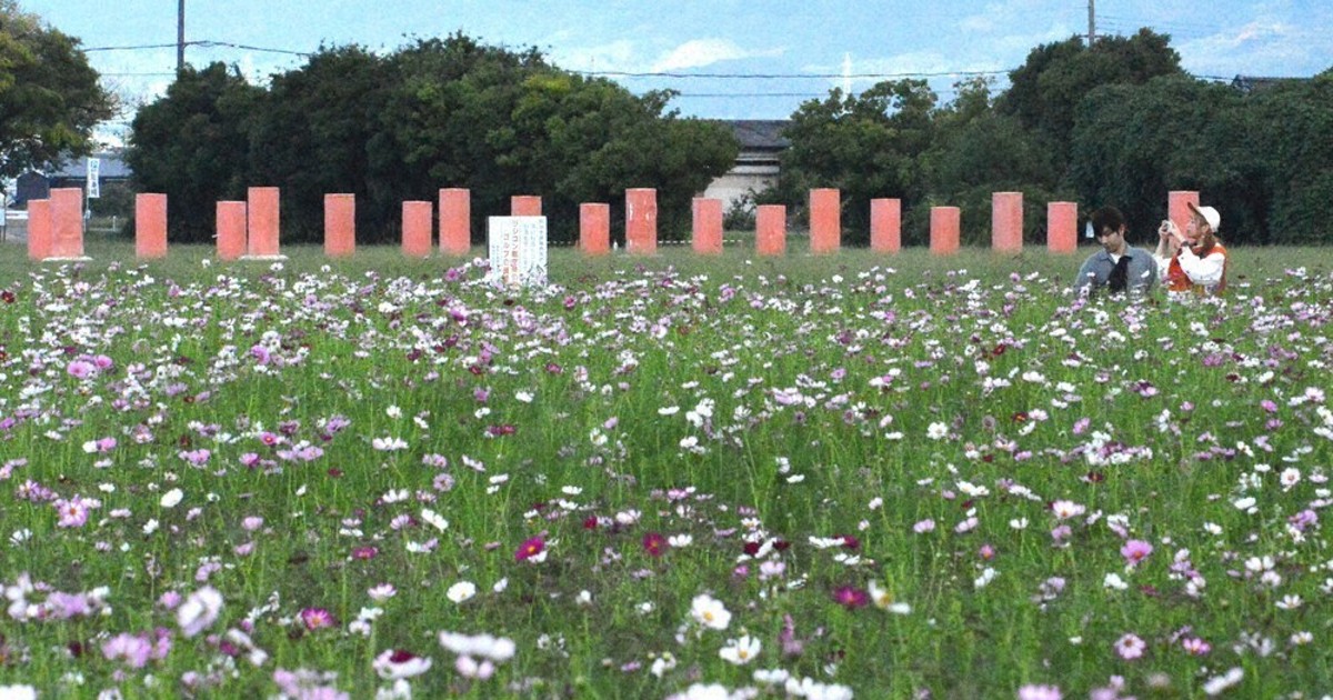 飛鳥・藤原を行く：花咲け19資産／1 藤原宮跡（橿原市） 建物復元