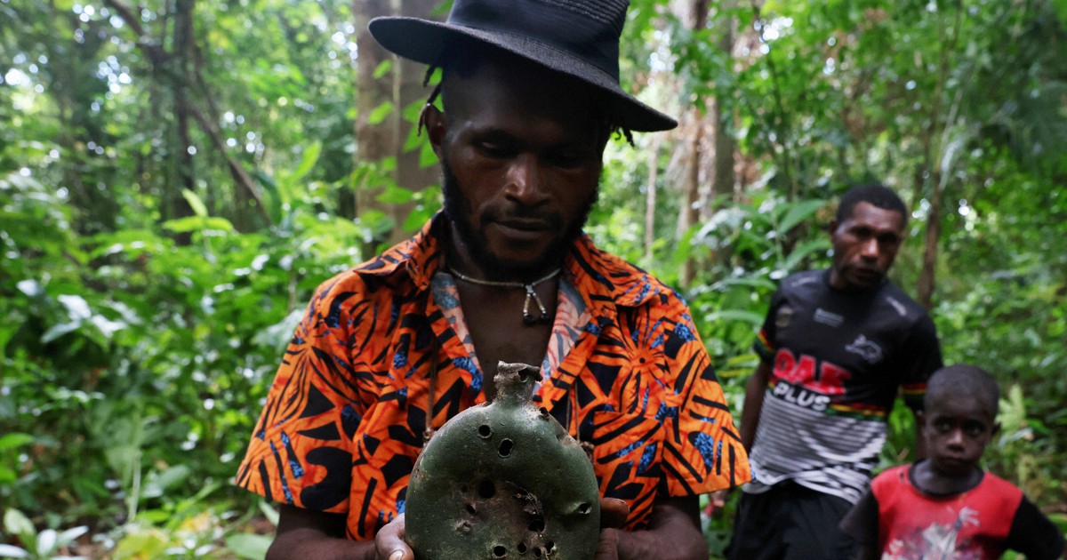 Beautiful Jungle：戦後80年 かつての戦地パプアニューギニアの密林で